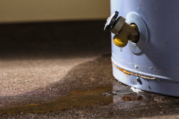 Water damage restoration experts in WA