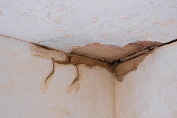  Morton, WA Water damage restoration Pros