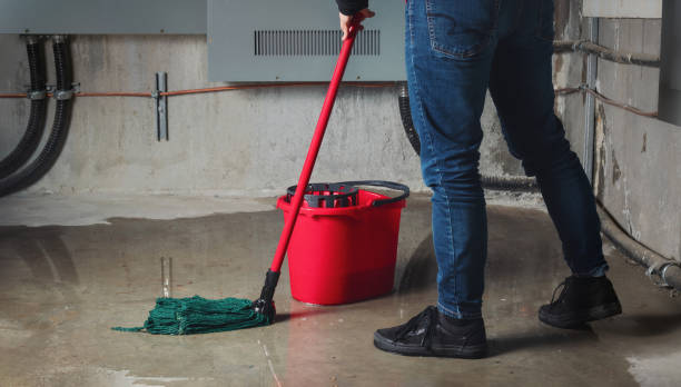 Best Local water damage restoration  in Morton, WA