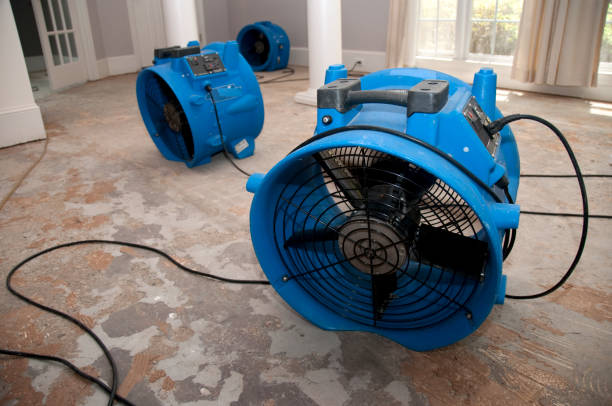 Best Sewage cleanup and water damage restoration  in Morton, WA