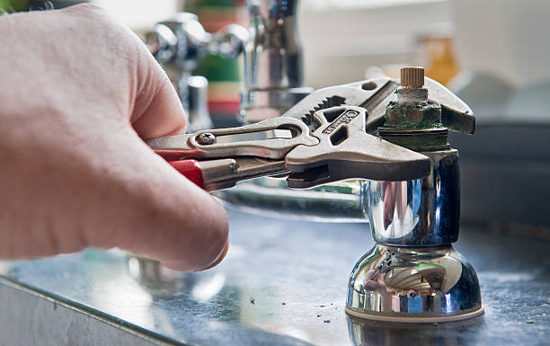 Best Flood damage cleanup  in Morton, WA