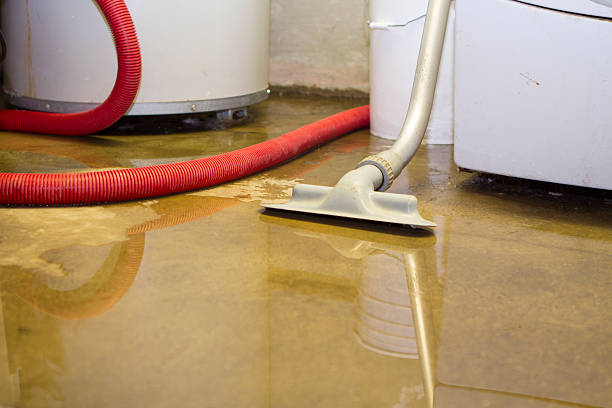 Best Water damage contractors near me  in Morton, WA