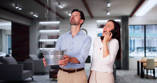 Best Water damage restoration mold remediation  in Morton, WA